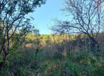 LOTE EN LOS CALLEJONES – GRAN OPORTUNIDAD