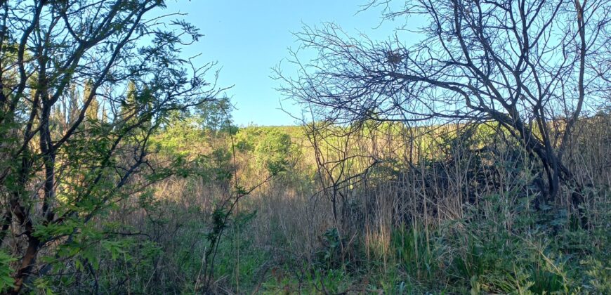 LOTE EN LOS CALLEJONES – GRAN OPORTUNIDAD