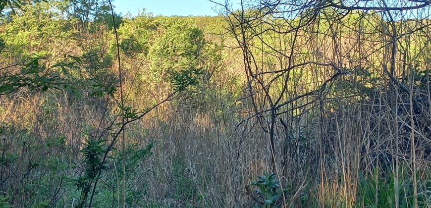 LOTE EN LOS CALLEJONES – GRAN OPORTUNIDAD