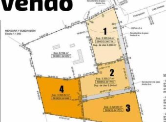 4 LOTES DE 3.300m2 CON ESCRITURA