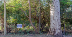 LOTE CON CONSTRUCCION A TERMINAR- PLENO CENTRO