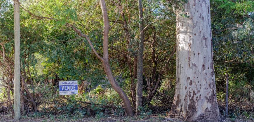 LOTE CON CONSTRUCCION A TERMINAR- PLENO CENTRO