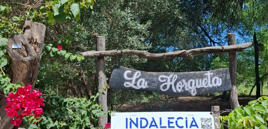 EXCELENTE PROPIEDAD CON AMPLIO TERRENO Y ACEQUIA