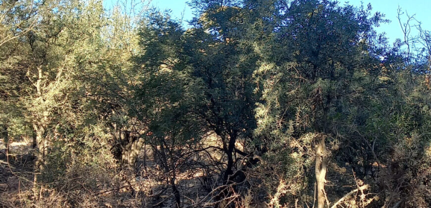 TRES LOTES DE 750m2 CADA UNO-ZONA CENTRO