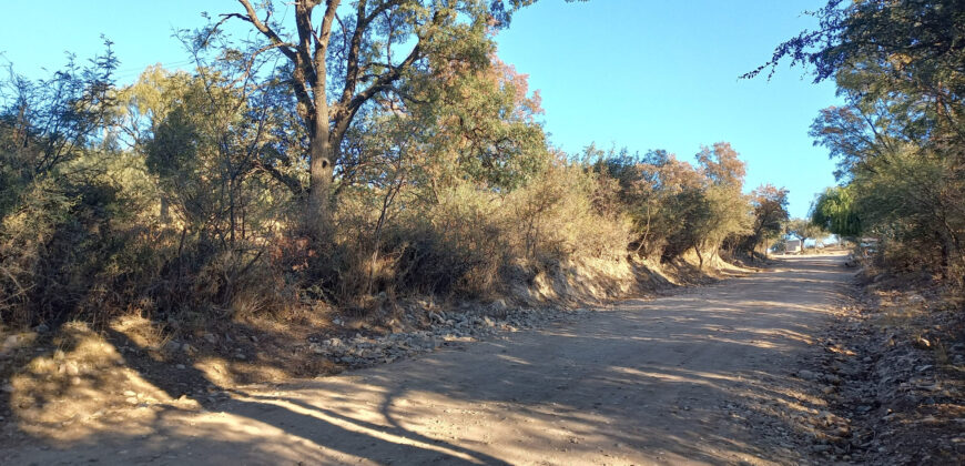 TRES LOTES DE 750m2 CADA UNO-ZONA CENTRO