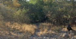 TRES LOTES DE 750m2 CADA UNO-ZONA CENTRO