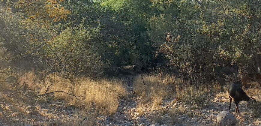 TRES LOTES DE 750m2 CADA UNO-ZONA CENTRO