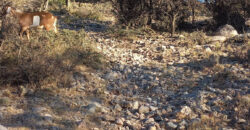 TRES LOTES DE 750m2 CADA UNO-ZONA CENTRO