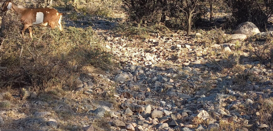 TRES LOTES DE 750m2 CADA UNO-ZONA CENTRO