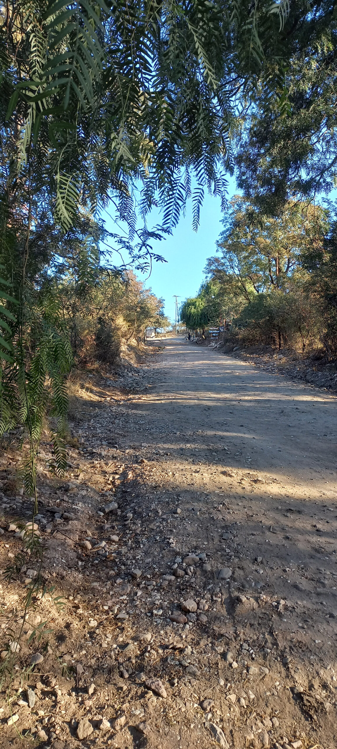 TRES LOTES DE 750m2 CADA UNO-ZONA CENTRO