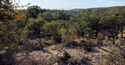 TRES LOTES DE 750m2 CADA UNO-ZONA CENTRO