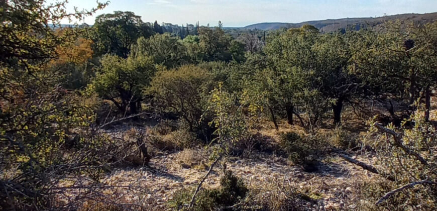 TRES LOTES DE 750m2 CADA UNO-ZONA CENTRO