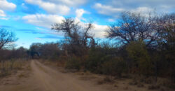 DOS HECTAREAS EN EL RINCON