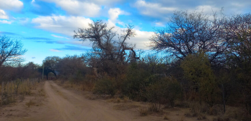 DOS HECTAREAS EN EL RINCON