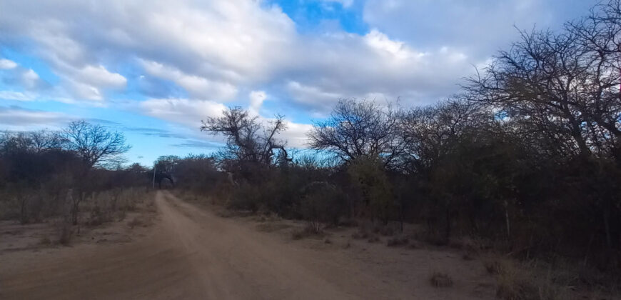 DOS HECTAREAS EN EL RINCON