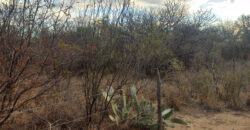 DOS HECTAREAS EN EL RINCON