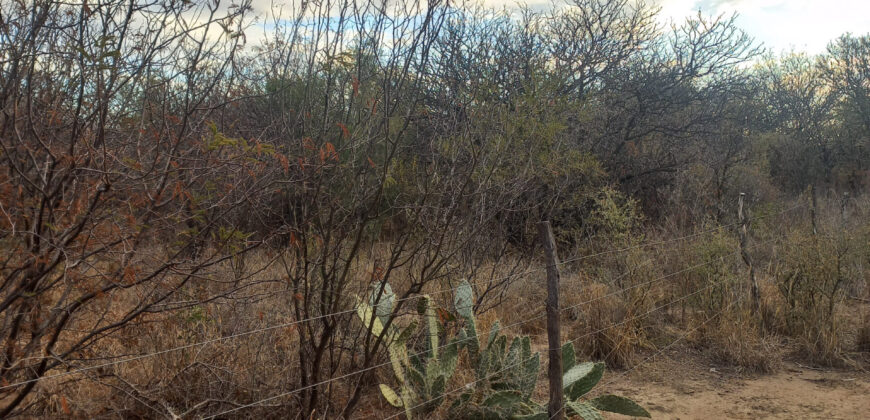 DOS HECTAREAS EN EL RINCON