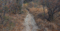DOS HECTAREAS EN EL RINCON