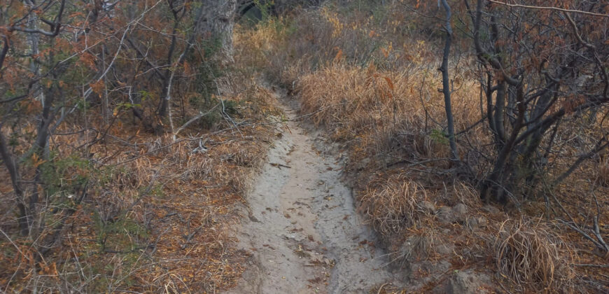 DOS HECTAREAS EN EL RINCON