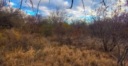 DOS HECTAREAS EN EL RINCON