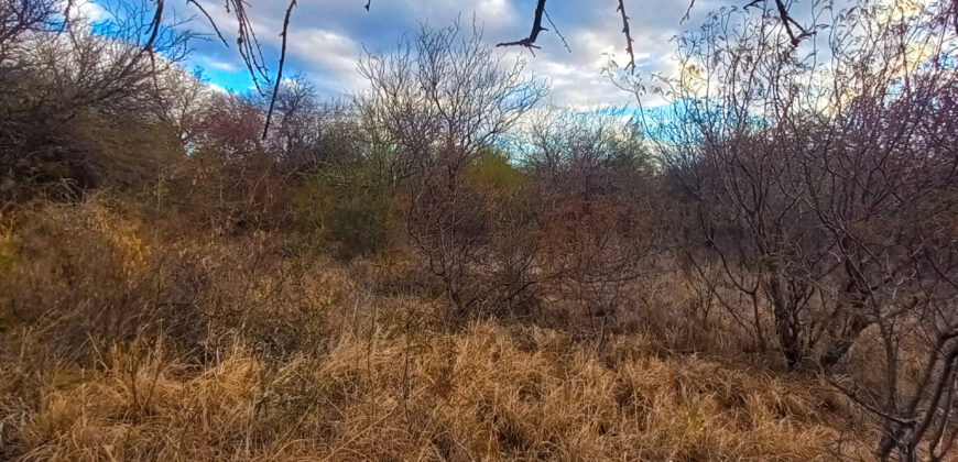 DOS HECTAREAS EN EL RINCON