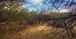 DOS HECTAREAS EN EL RINCON