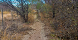 DOS HECTAREAS EN EL RINCON