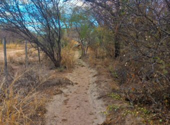 DOS HECTAREAS EN EL RINCON
