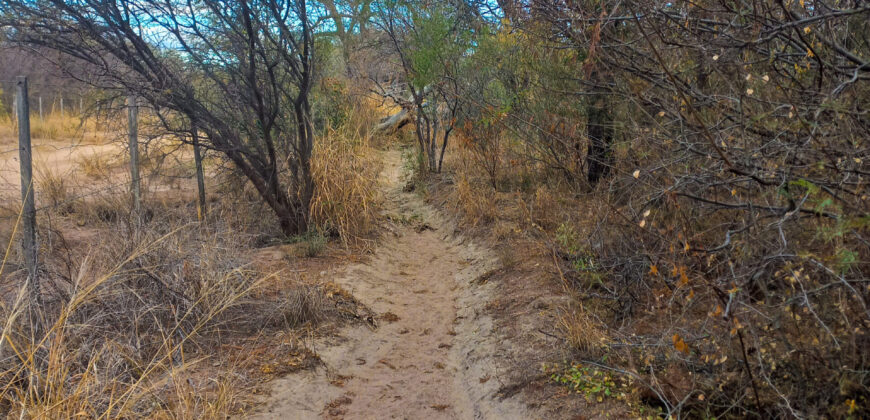 DOS HECTAREAS EN EL RINCON