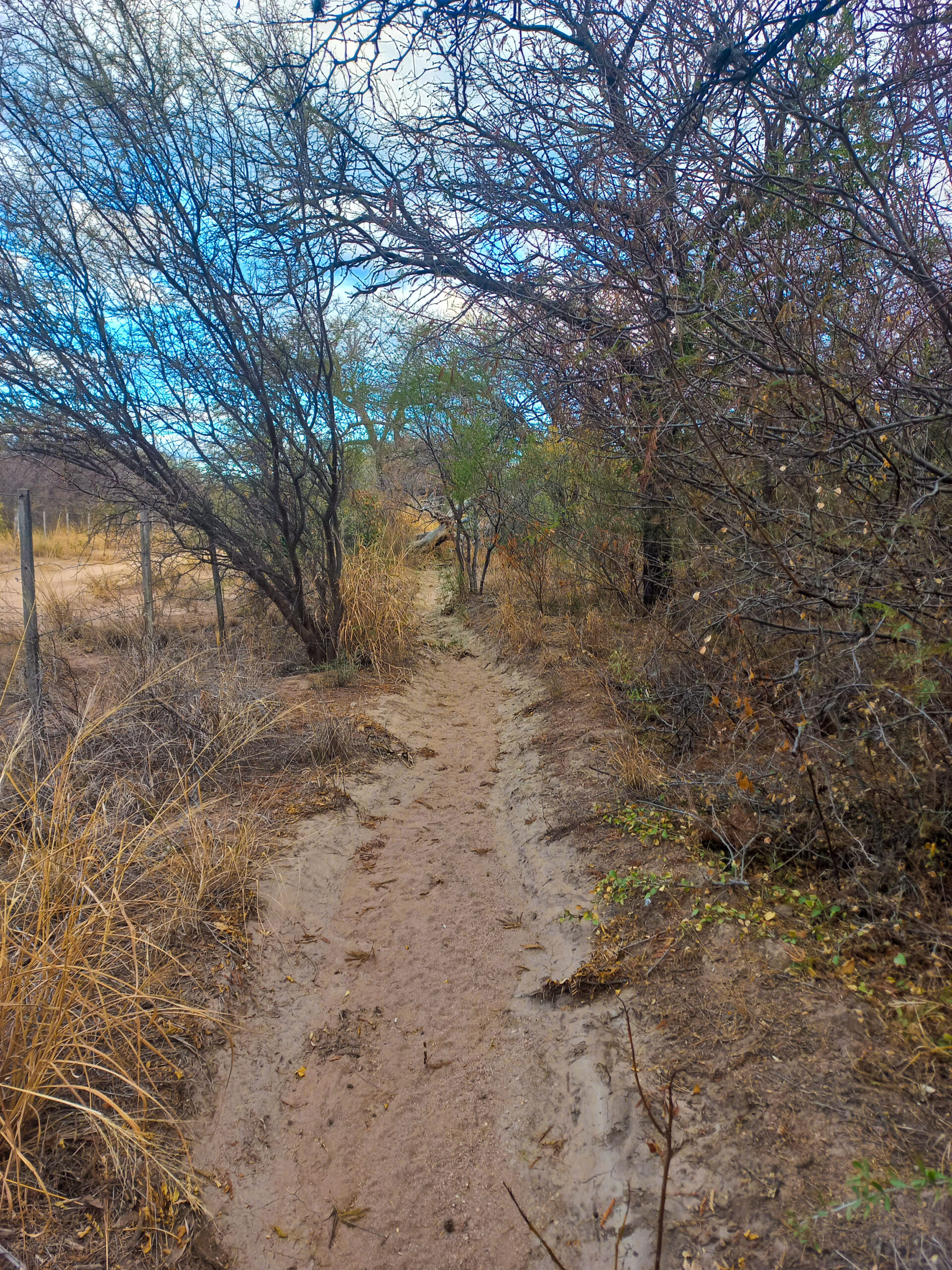 DOS HECTAREAS EN EL RINCON