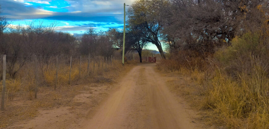 DOS HECTAREAS EN EL RINCON