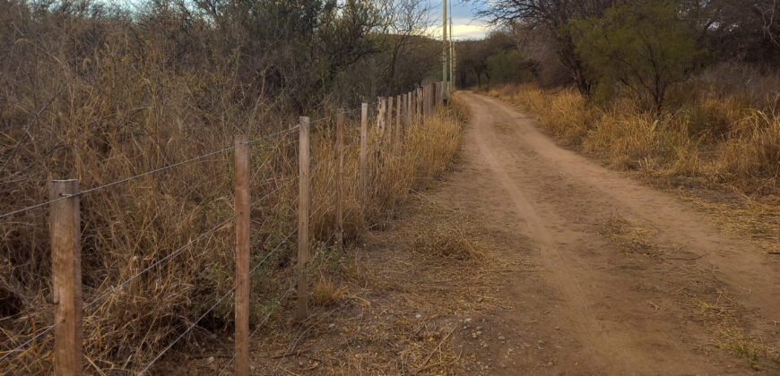 DOS HECTAREAS EN EL RINCON