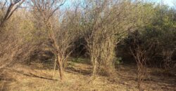 SUPERFICIE 3394m2 – TERRENO EN LAS GRAMILLAS