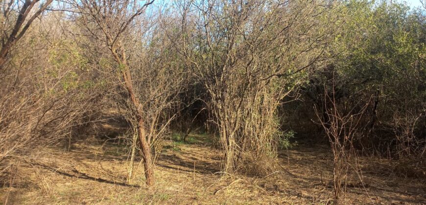 SUPERFICIE 3394m2 – TERRENO EN LAS GRAMILLAS