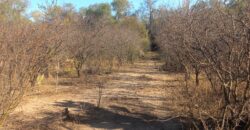 SUPERFICIE 3394m2 – TERRENO EN LAS GRAMILLAS