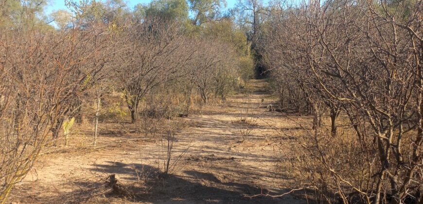 SUPERFICIE 3394m2 – TERRENO EN LAS GRAMILLAS