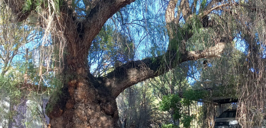 HERMOSO CHALET DE MADERA SOBRE AV CACIQUE TULIAN