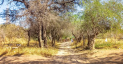 GRAN OPORTUNIDAD DE LOTE DE 1600M2 EN LA BANDA