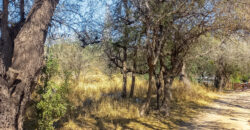 GRAN OPORTUNIDAD DE LOTE DE 1600M2 EN LA BANDA