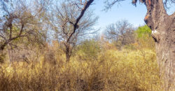 GRAN OPORTUNIDAD DE LOTE DE 1600M2 EN LA BANDA