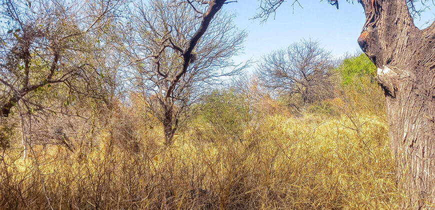 GRAN OPORTUNIDAD DE LOTE DE 1600M2 EN LA BANDA