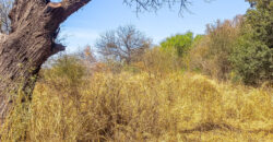 GRAN OPORTUNIDAD DE LOTE DE 1600M2 EN LA BANDA