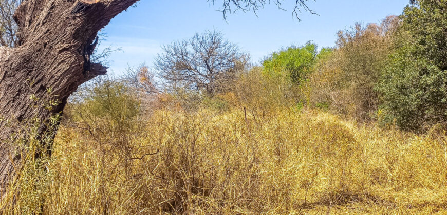 GRAN OPORTUNIDAD DE LOTE DE 1600M2 EN LA BANDA