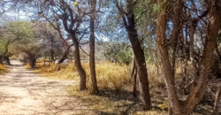 GRAN OPORTUNIDAD DE LOTE DE 1600M2 EN LA BANDA