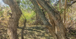 GRAN OPORTUNIDAD DE LOTE DE 1600M2 EN LA BANDA