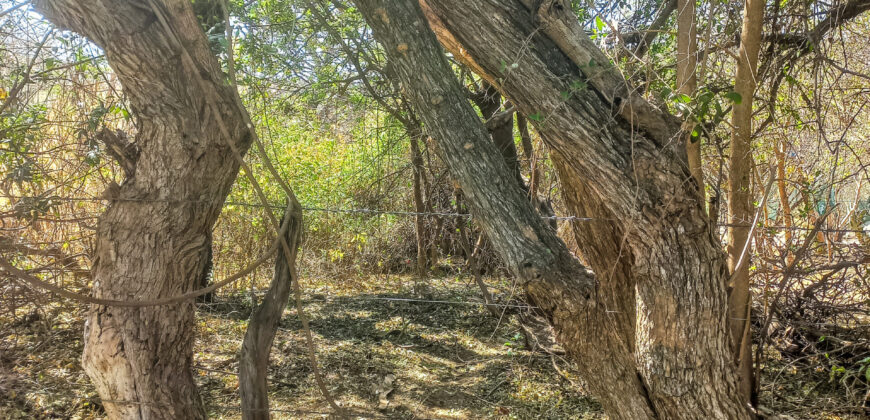 GRAN OPORTUNIDAD DE LOTE DE 1600M2 EN LA BANDA