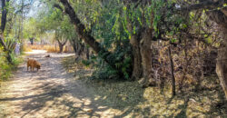 GRAN OPORTUNIDAD DE LOTE DE 1600M2 EN LA BANDA