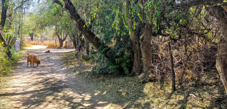 GRAN OPORTUNIDAD DE LOTE DE 1600M2 EN LA BANDA