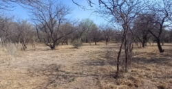 CASA DE DOS DORMITORIOS EN LOS SAUCES