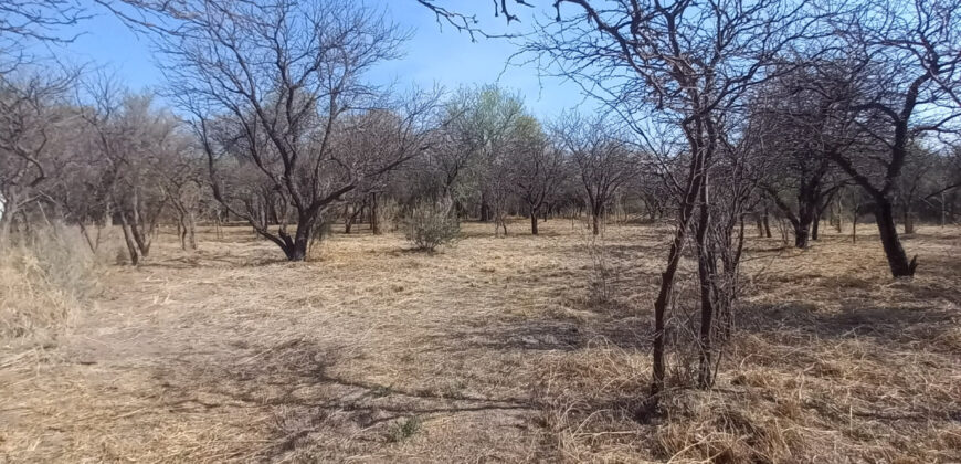CASA DE DOS DORMITORIOS EN LOS SAUCES